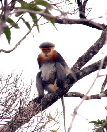 Kon Ka Kinh National Park