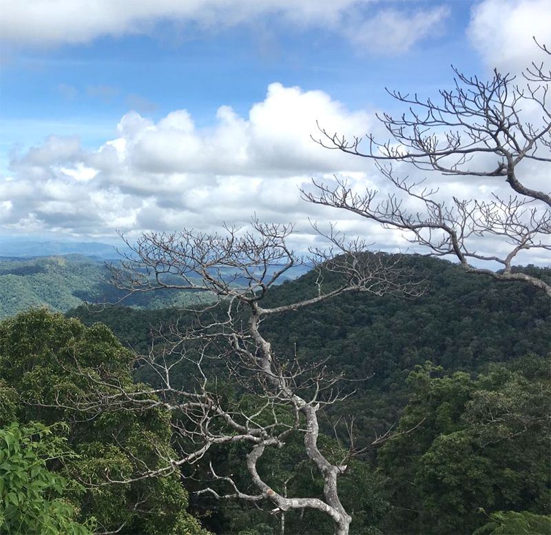 Kon Ka Kinh National Park