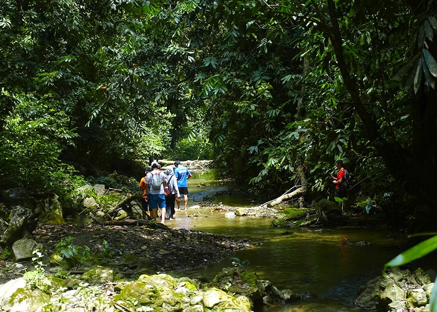 solo vs group trekking in Vietnam_3