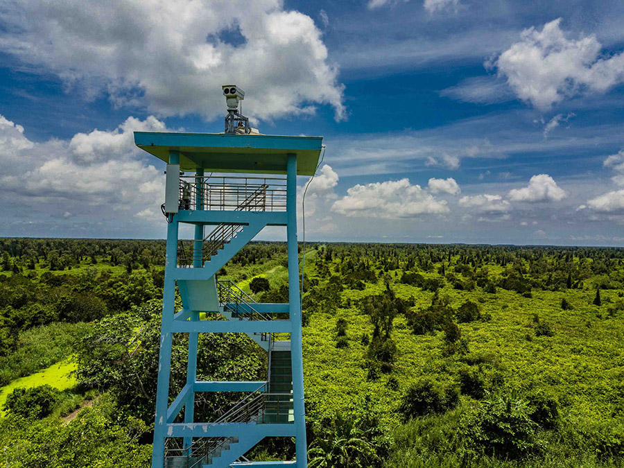 Vườn Quốc gia U Minh Hạ_U Minh Ha National Park