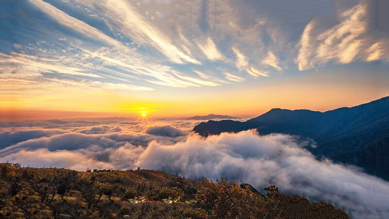 Ta Xua nature reserve_2