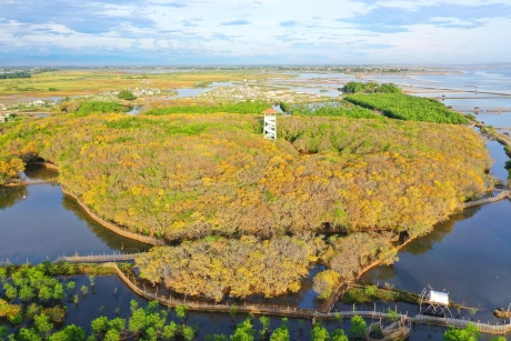 Tam Giang Lagoon_4