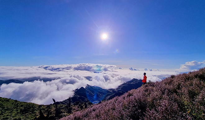 Vietnam cloud hunting_2