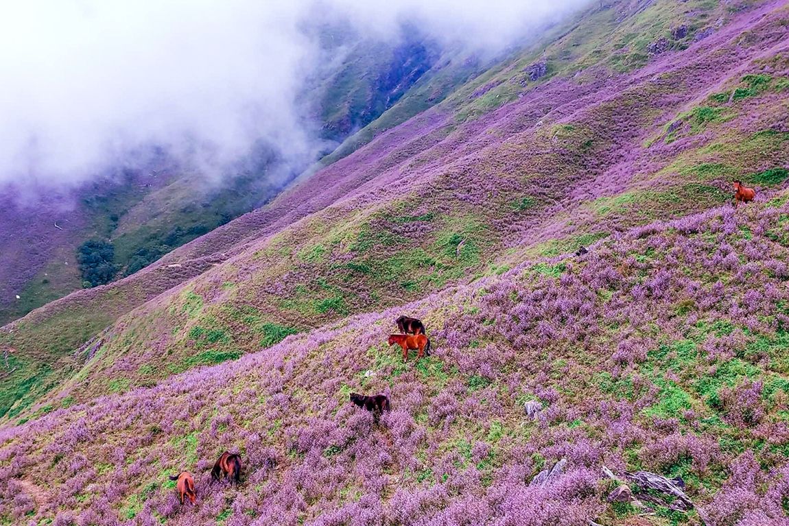 Easy treks in Vietnam_1