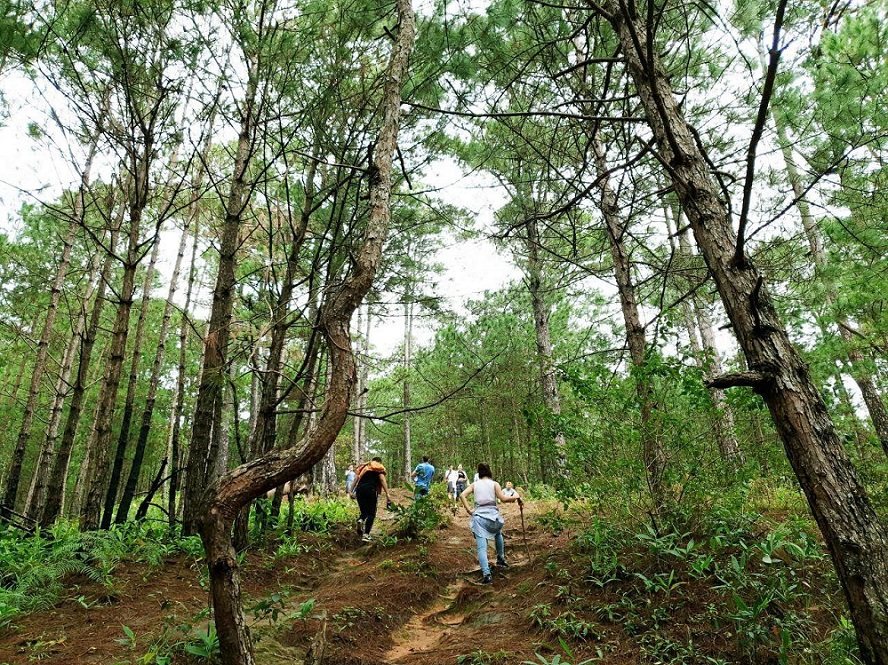 Easy treks in Vietnam_3