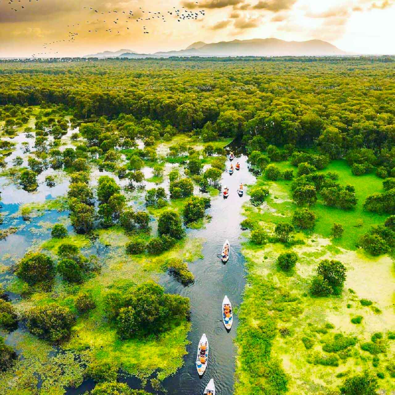 Nature sounds Vietnam_1