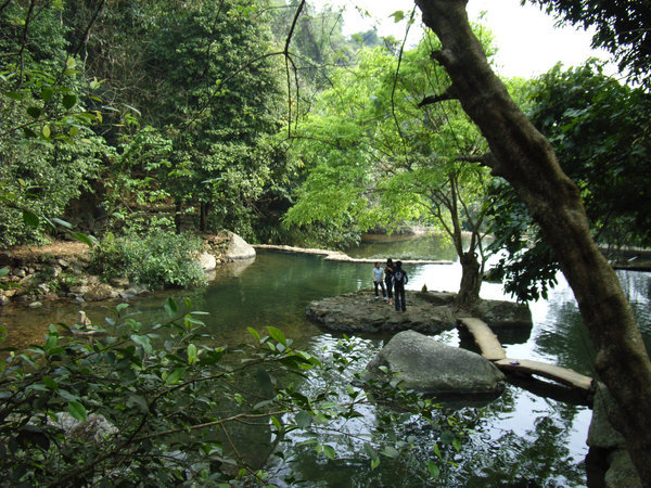 Nature sounds Vietnam_4