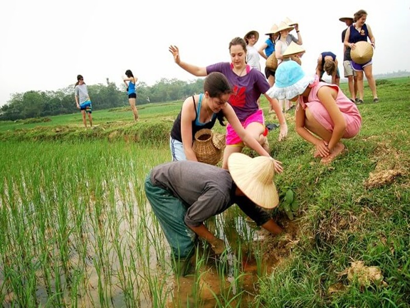 Ninh Binh tourism_5