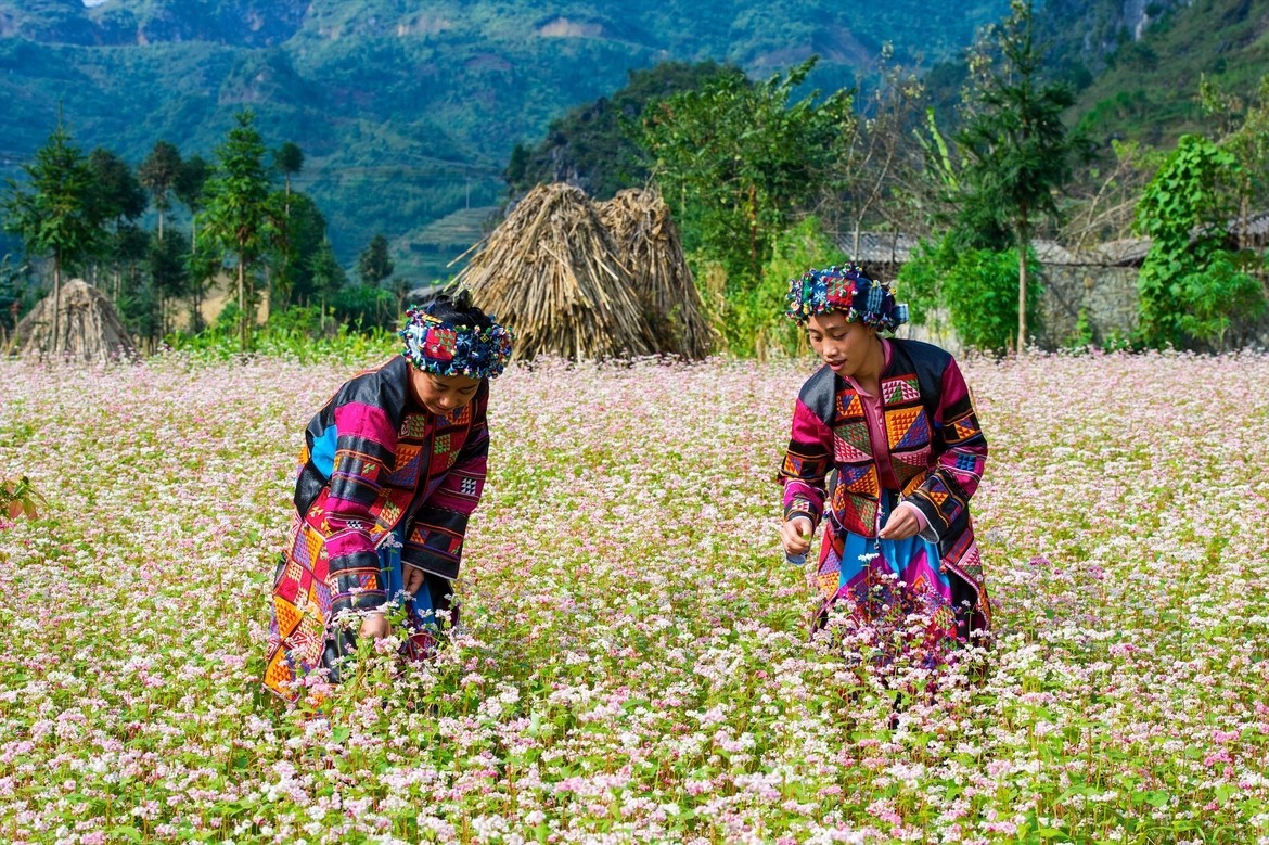 Non-touristy things to do in Vietnam_6