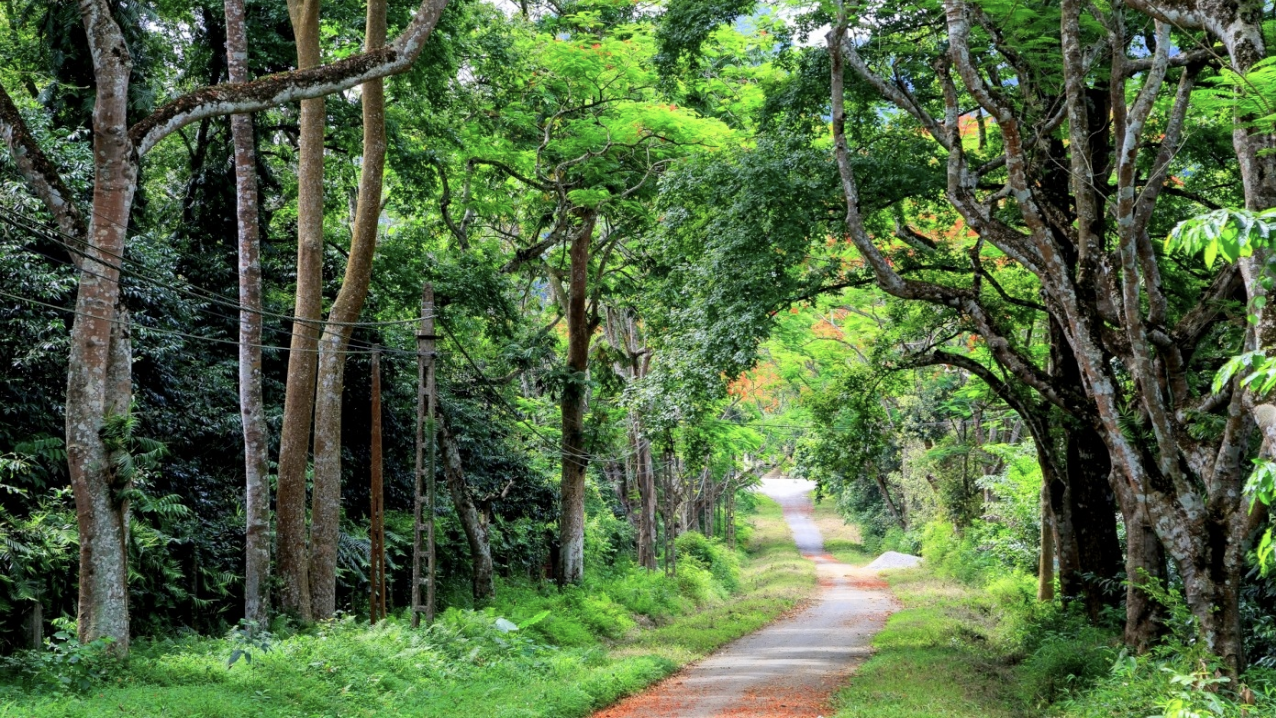 Vietnam beyond beaches_4