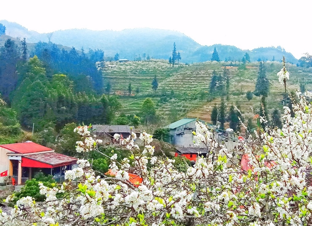 Vietnam honeymoon destinations_9