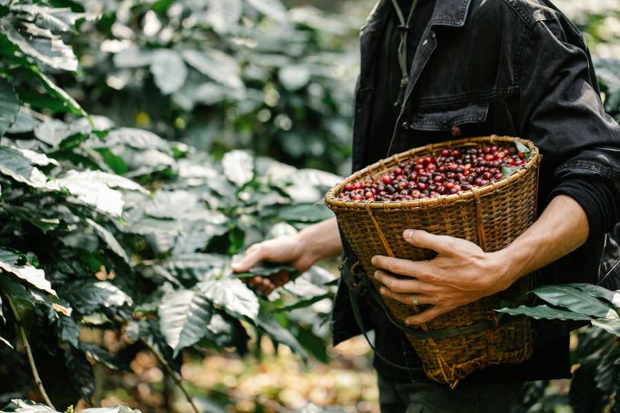 Vietnamese coffee culture_3