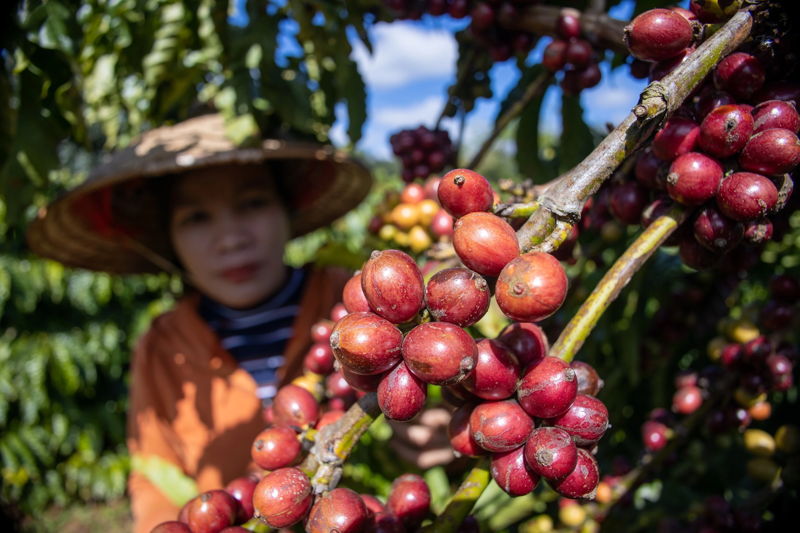 Vietnamese coffee culture_3