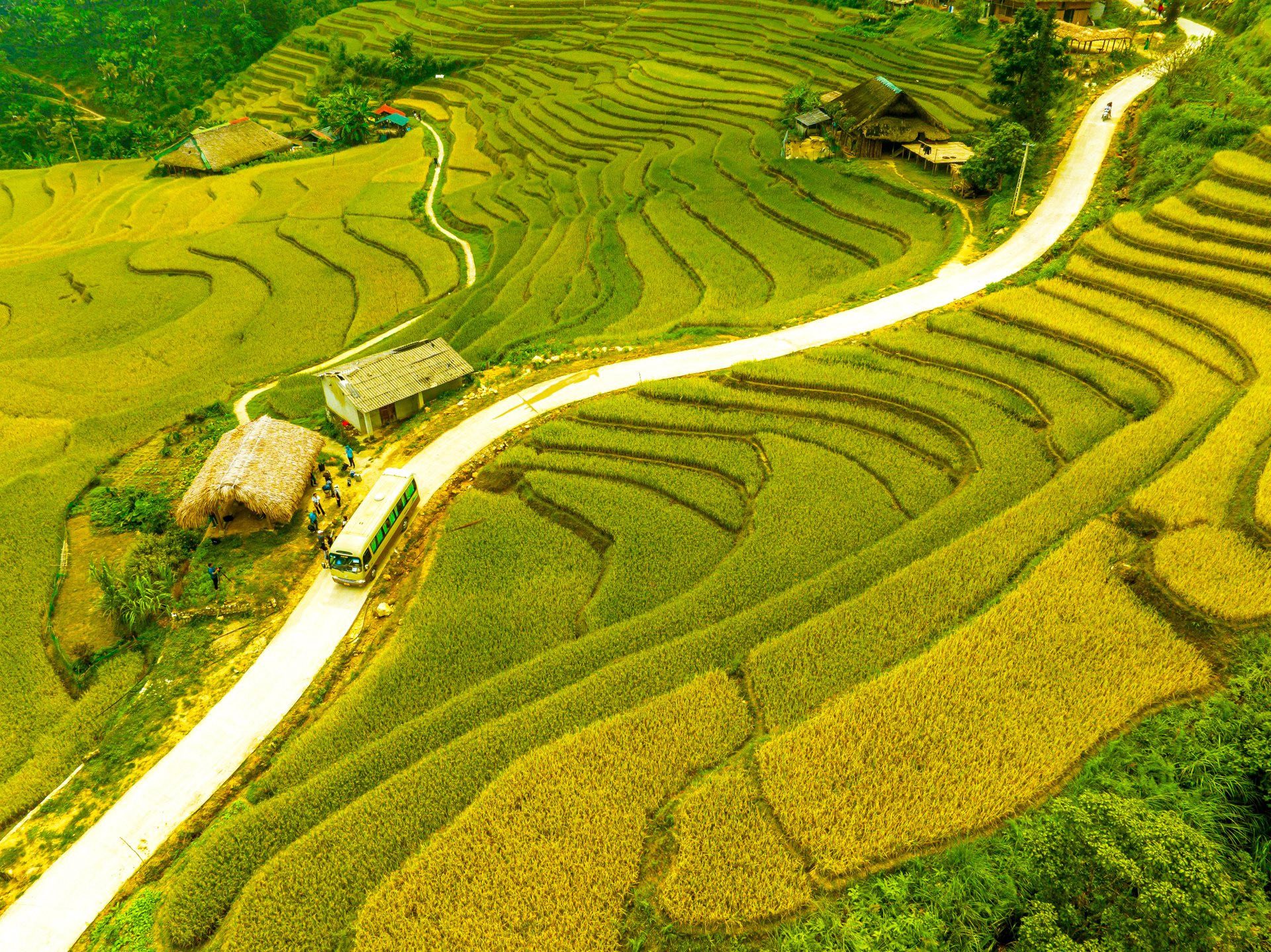 best rice terraces in Vietnam_1