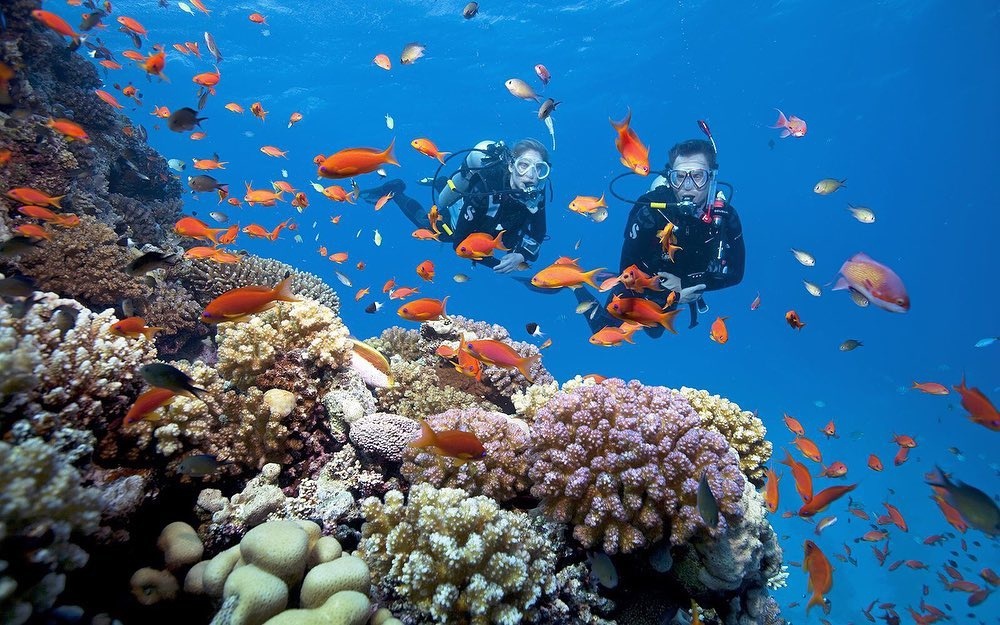 Ninh Thuan diving_2