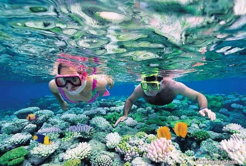 Ninh Thuan diving_3