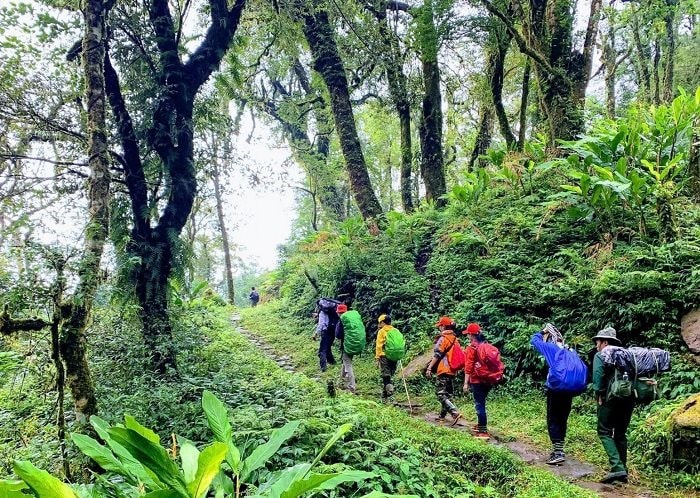 Quang Binh jungle trek_1