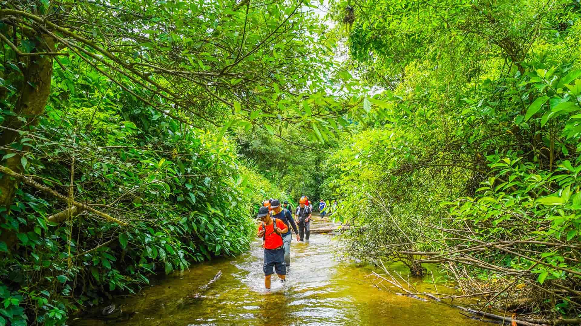 Quang Binh jungle trek_2
