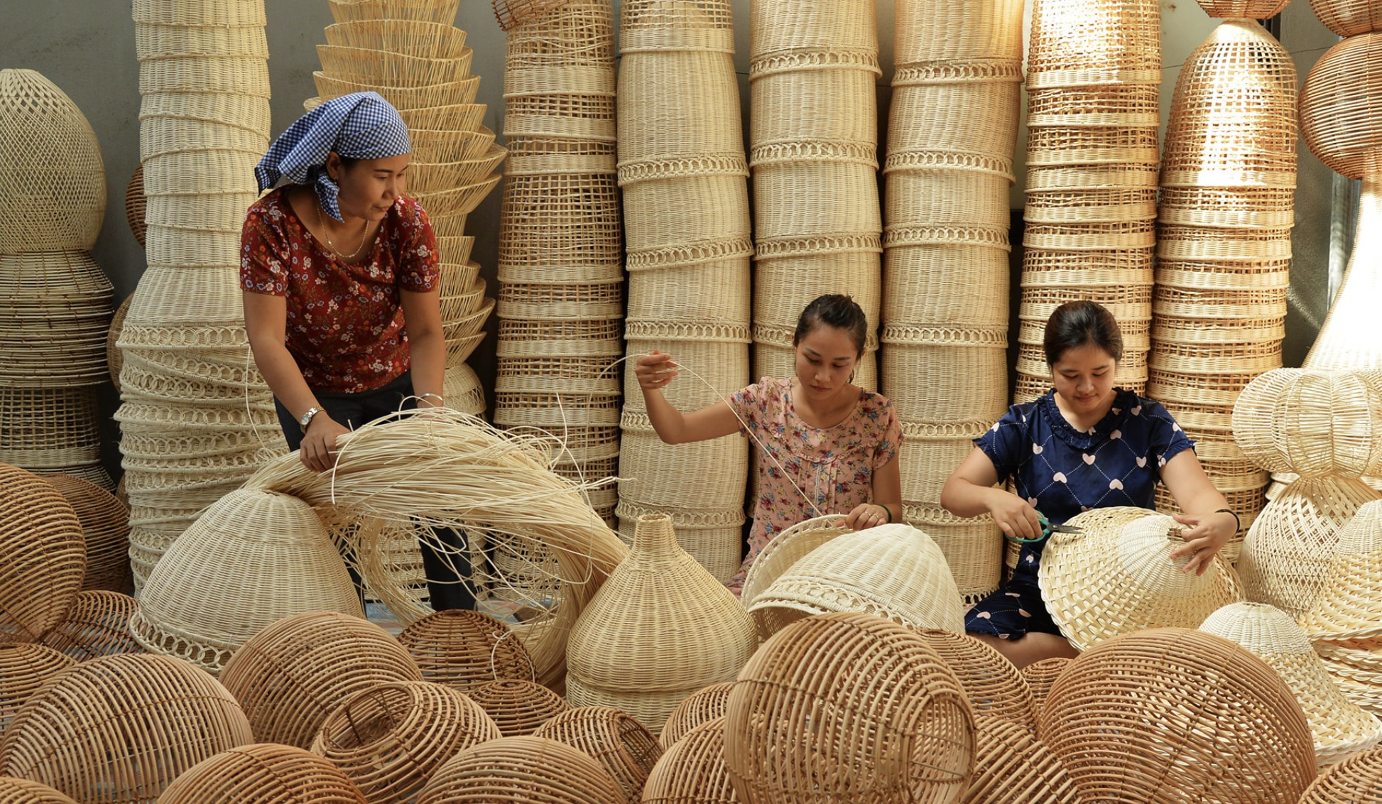 Vietnam bamboo forest_4