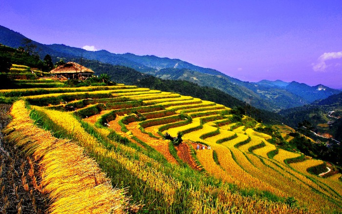 Vietnam travel cost 2026_4