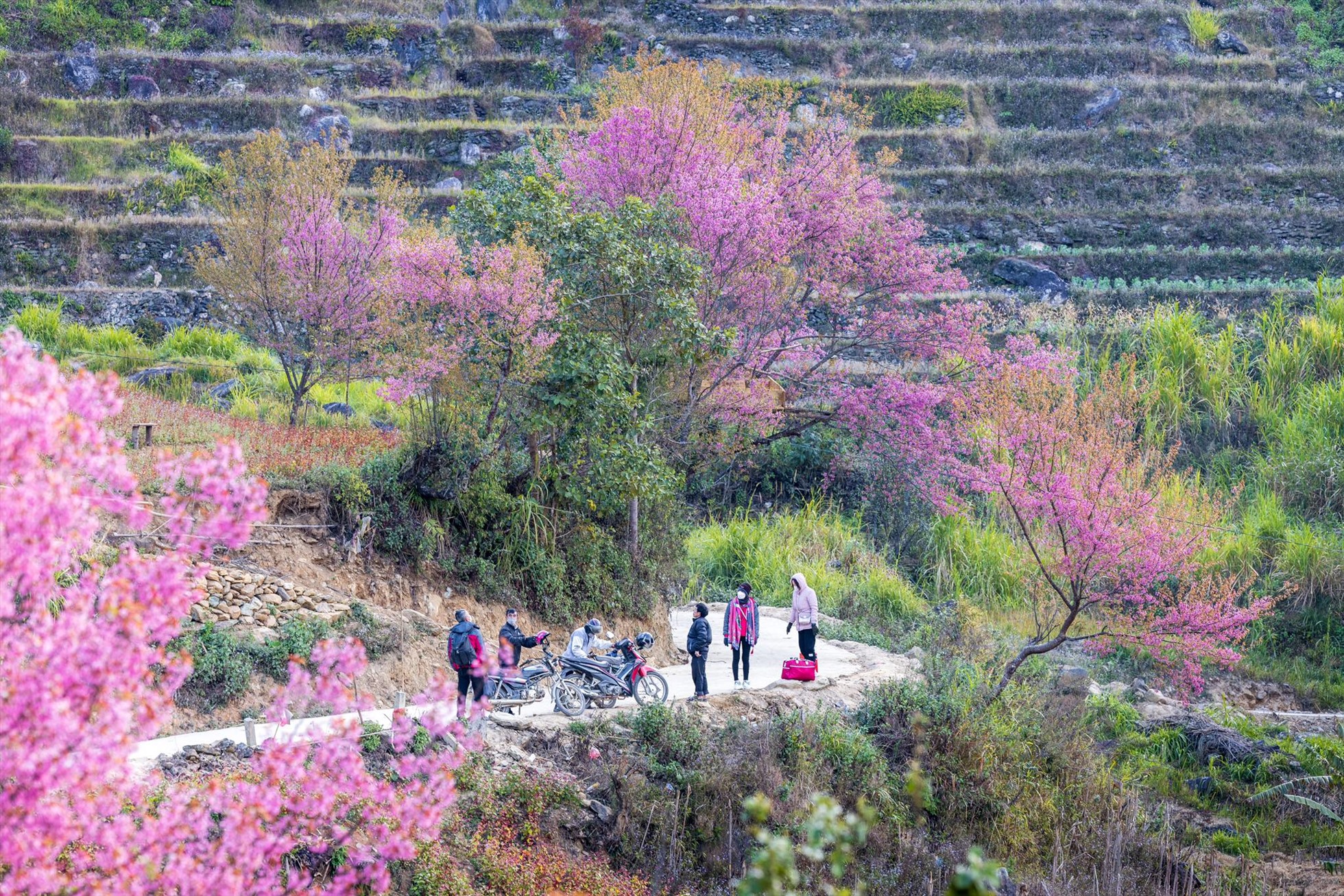 Vietnam travel seasons guide_1
