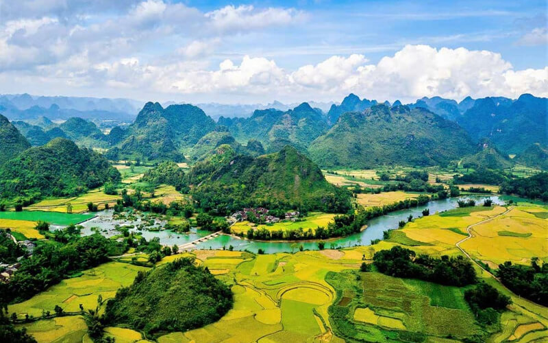 green walls of Vietnam_1