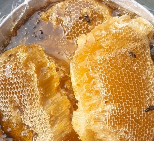 honey hunting Vietnam_4