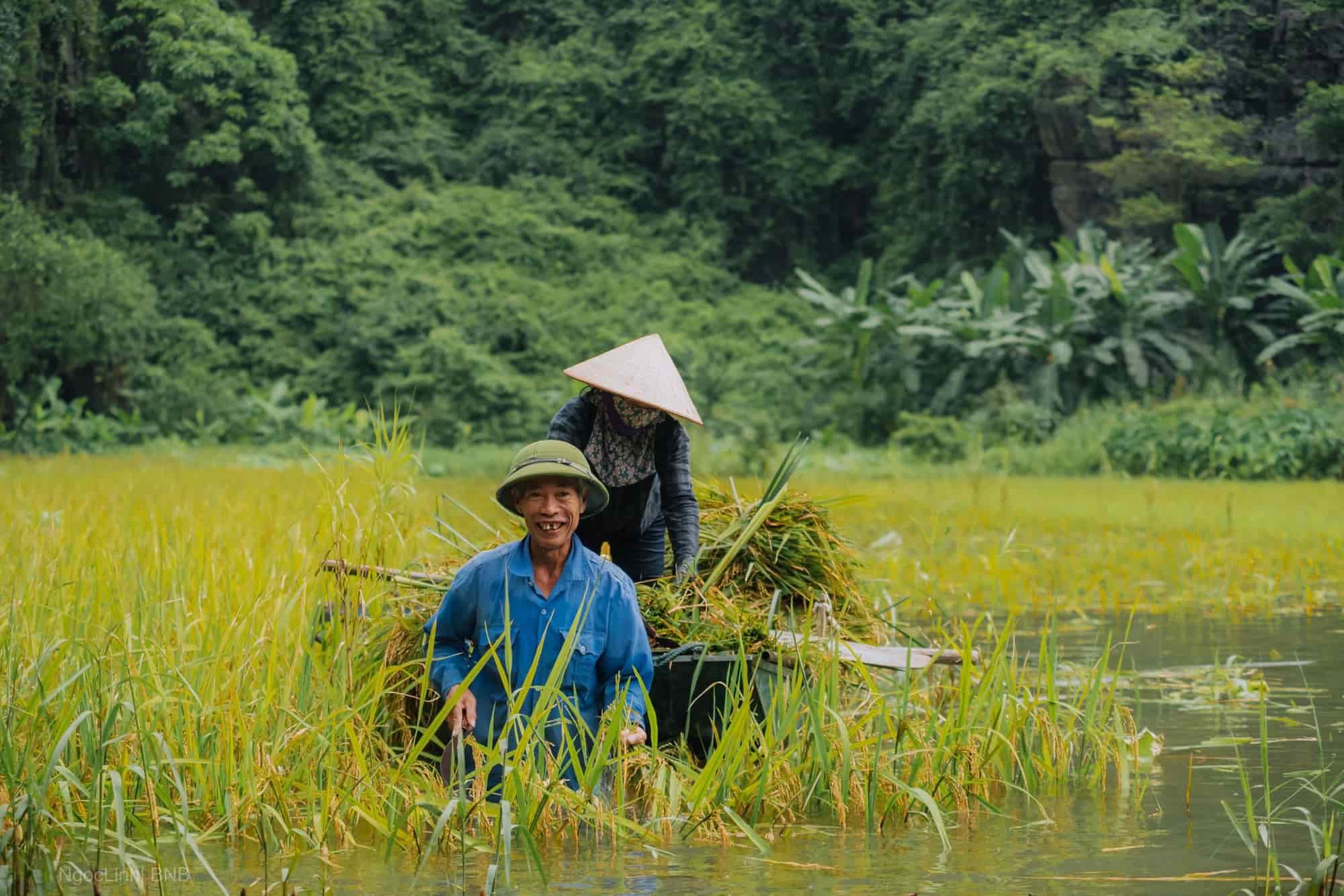self-discovery travel Vietnam_3