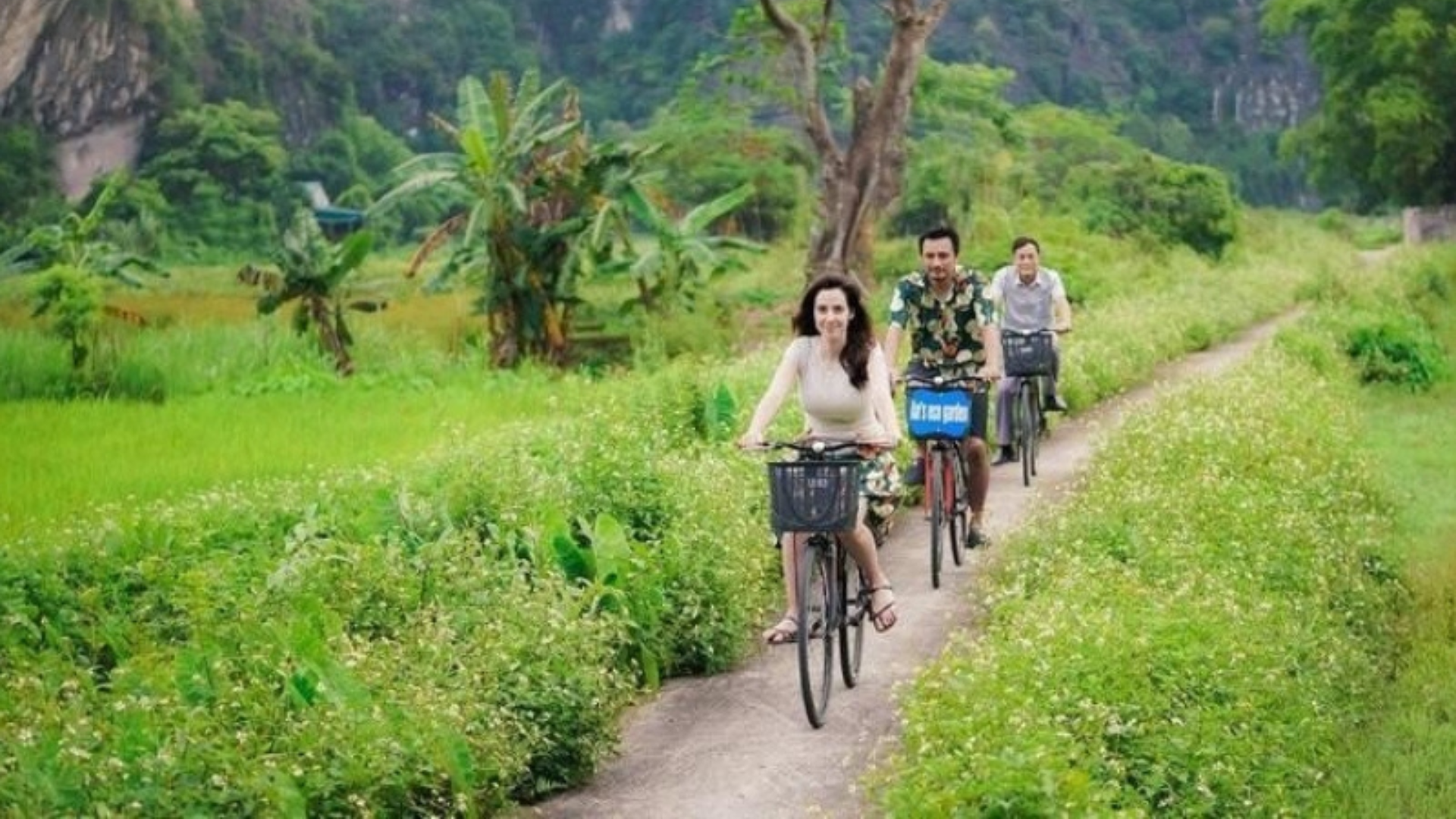 green travel movement 2026_2