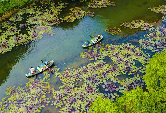 green travel movement 2026_2