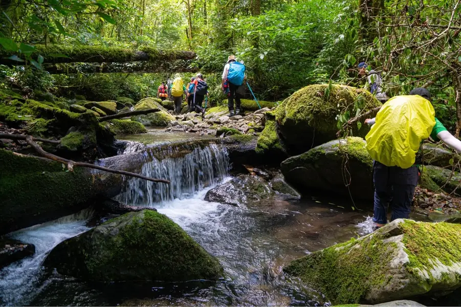 rewilding Vietnam_1