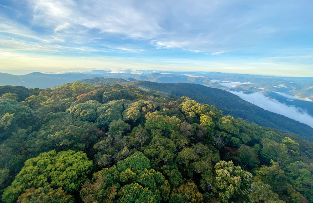 rewilding Vietnam_3