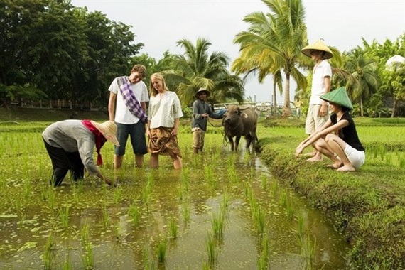 agritorism in Vietnam_1