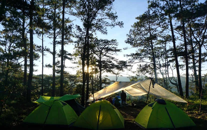 Vườn Quốc gia Bidoup – Núi Bà, Bidoup - Núi Bà National Park