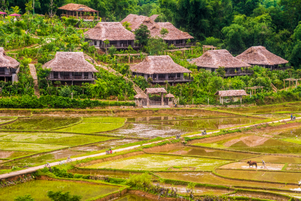 eco-luxury Vietnam_4