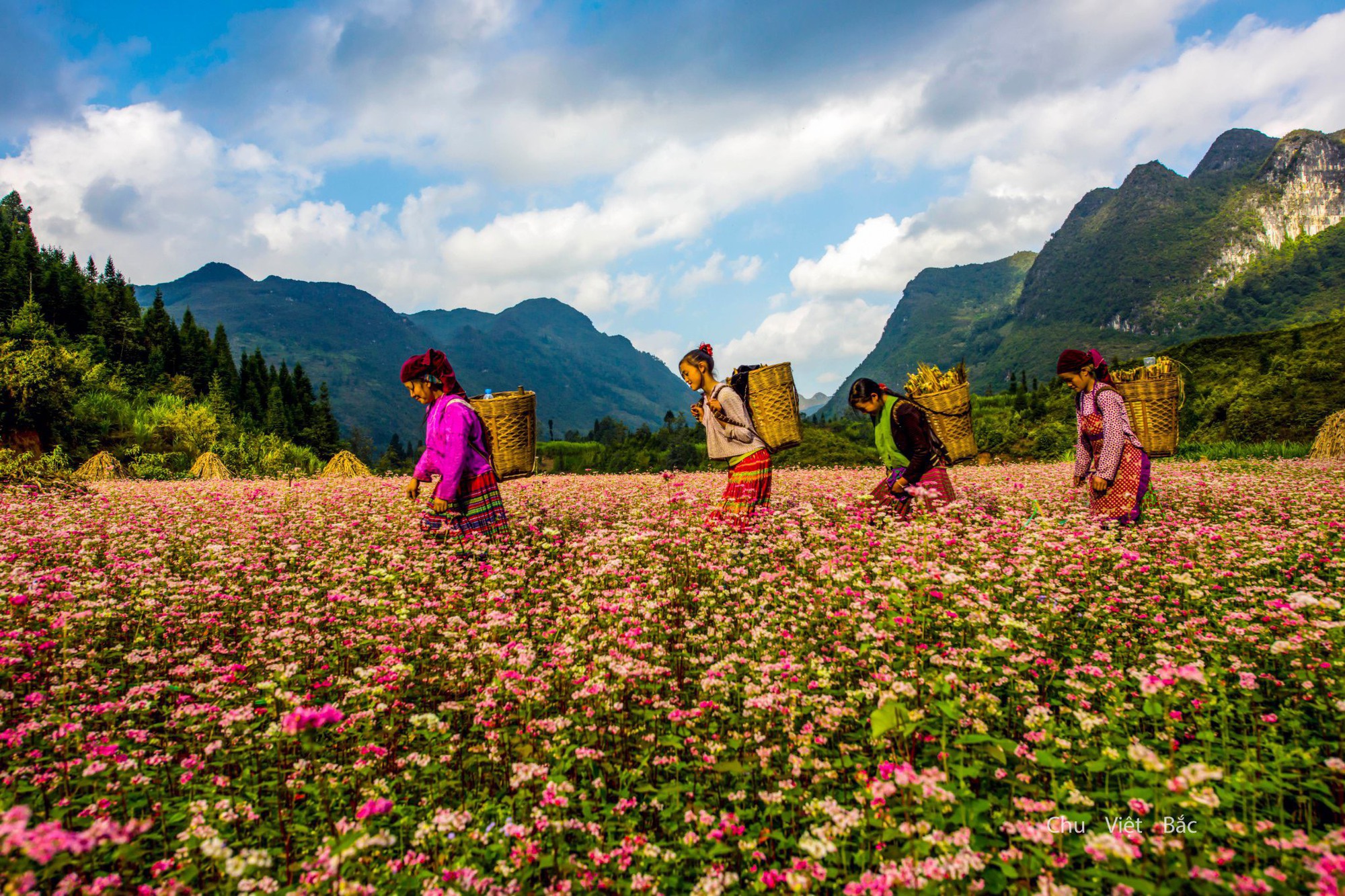 gen Z travel trends in Vietnam_1