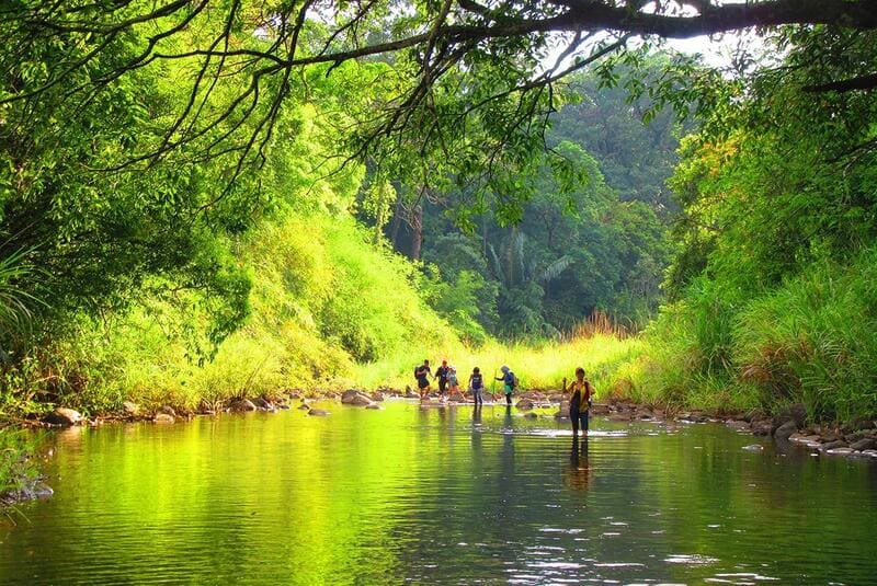 hidden jungle temples in Vietnam_4