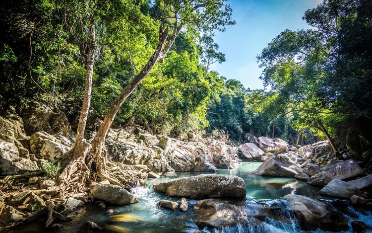 hidden jungle temples in Vietnam_6