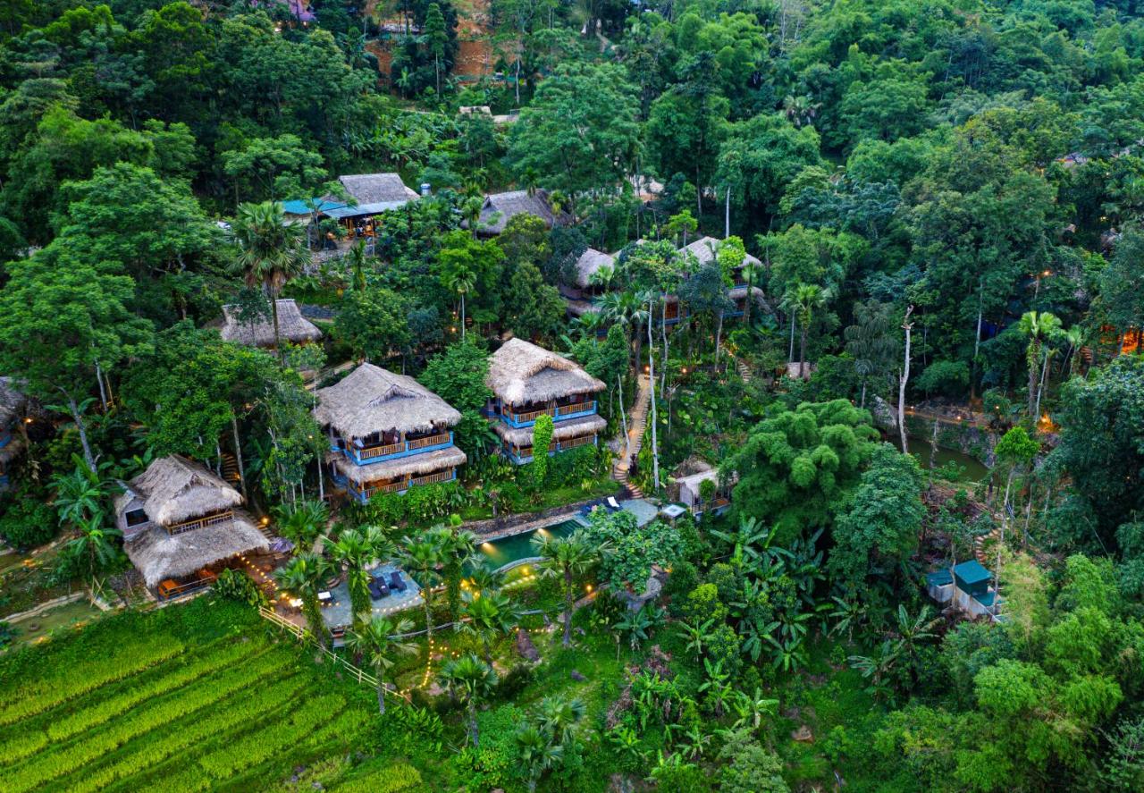 nature therapy Vietnam_5