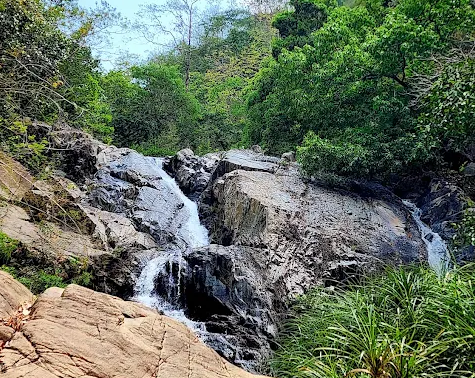 Vườn Quốc gia Phuoc Binh National Park