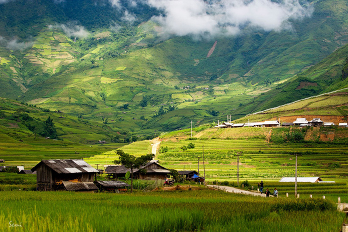 untamed wilderness in Vietnam_1
