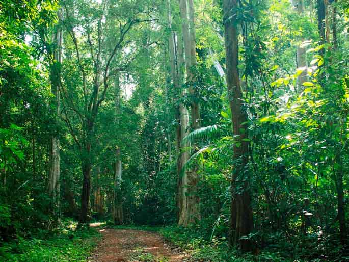 Cat Ba island trekking guide_4