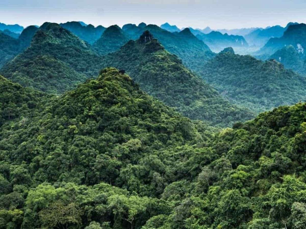 Cat Ba island trekking guide_5