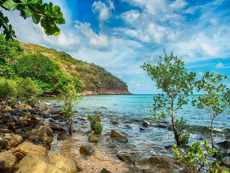 Con Dao Islands travel guide_2