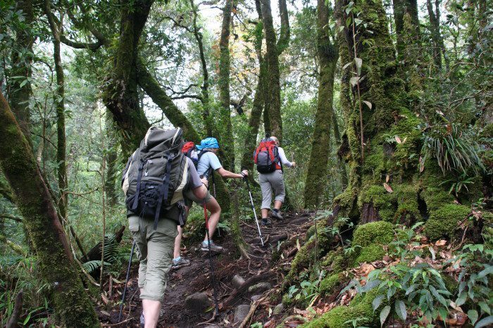 Fansipan trekking porters_4