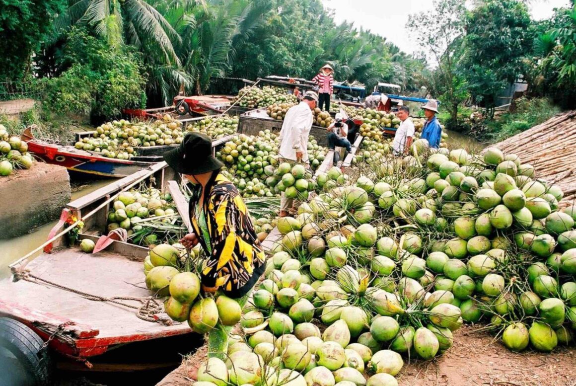 Mekong Delta day tour_3