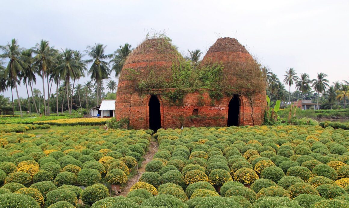 Mekong Delta day tour_4
