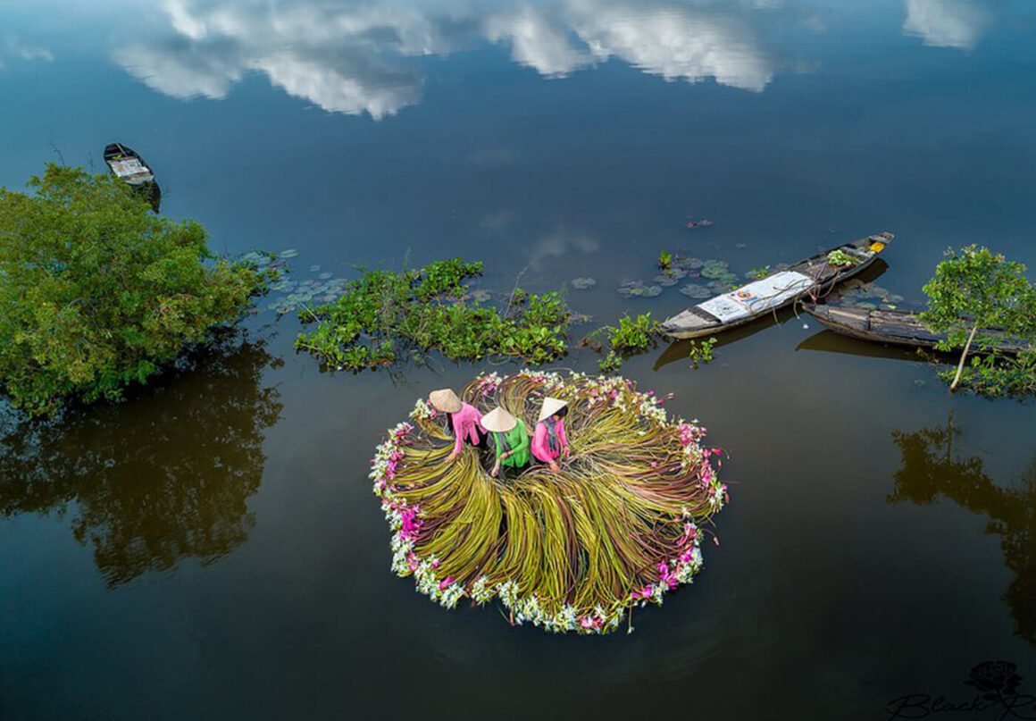 Mekong Delta travel guide 2026_6