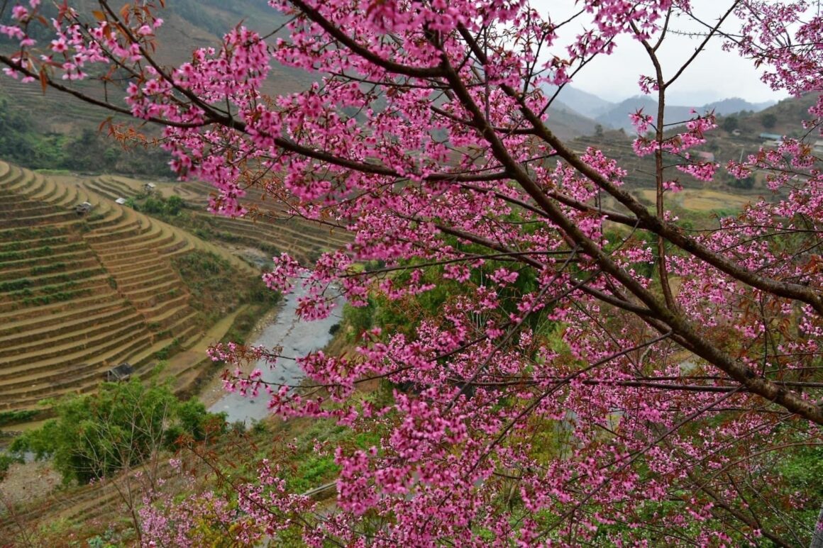 Northern Vietnam mountain expeditions_4