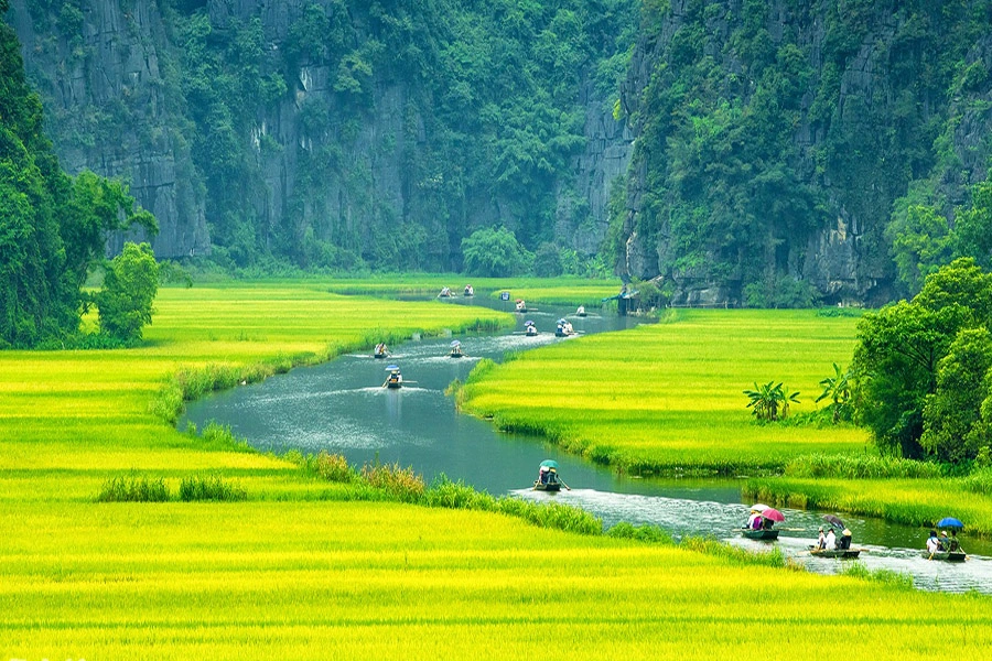Red River Delta Civilization_1
